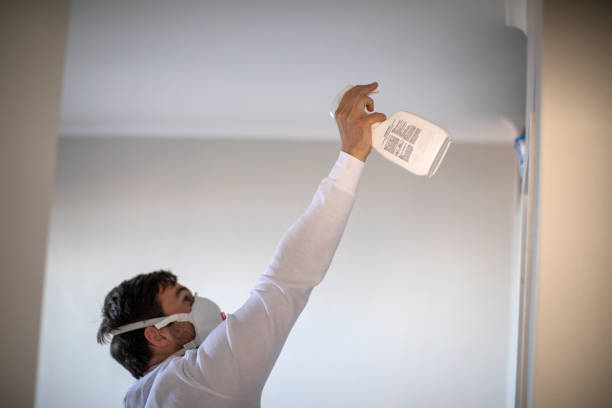 Best Professional Mold Removal  in Ransomville, NY