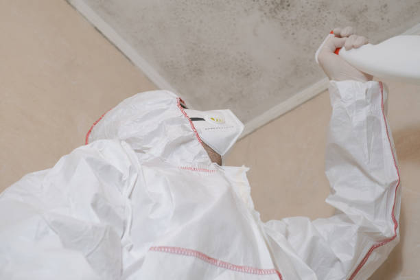 Best Emergency Mold Removal  in Ransomville, NY