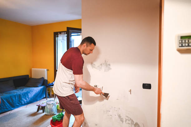 Best Black Mold Removal  in Ransomville, NY